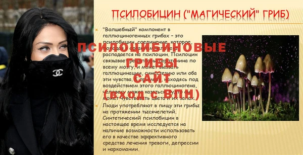 сатива Болохово