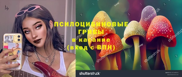 spice Абинск